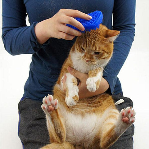 Massage pet brush