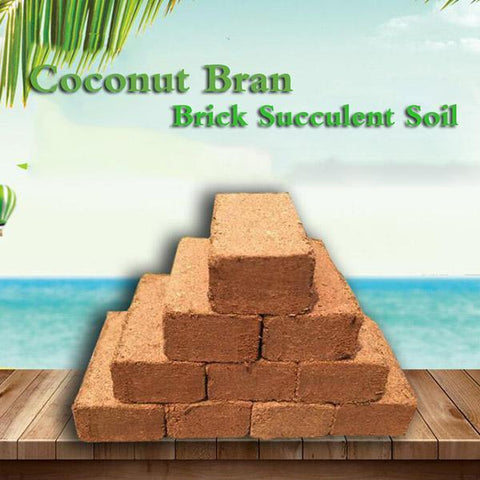 Coconut Bran Brick Succulent Soil