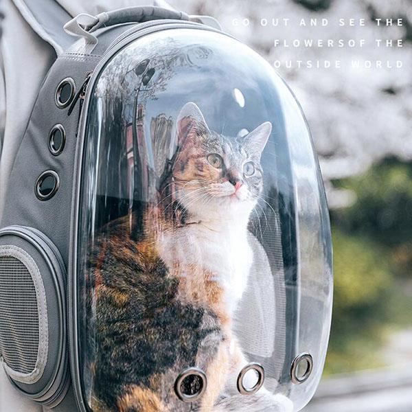 Space Aat Pet Bag