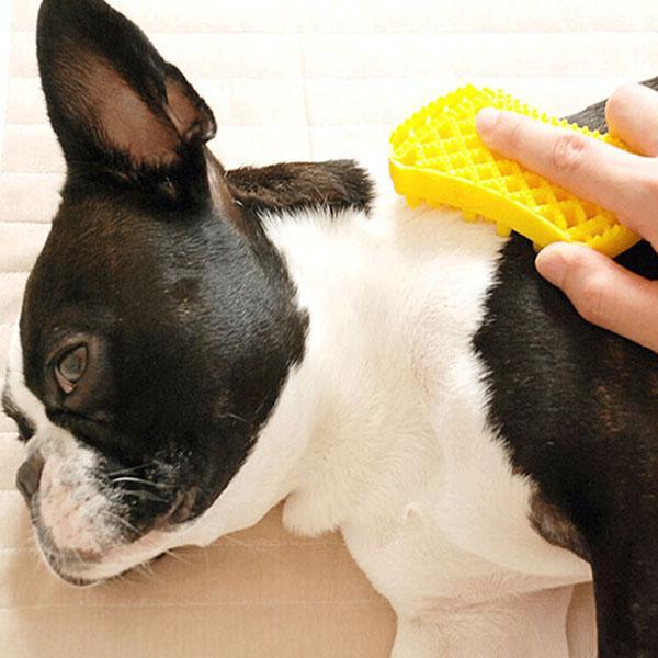 Massage pet brush