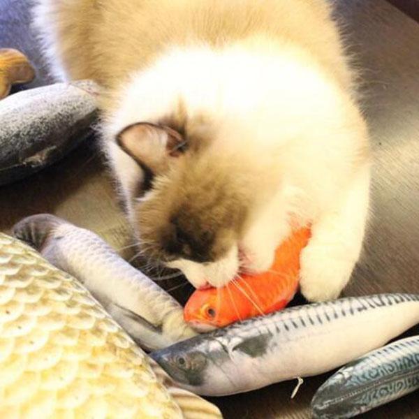 Catnip Fish Toy
