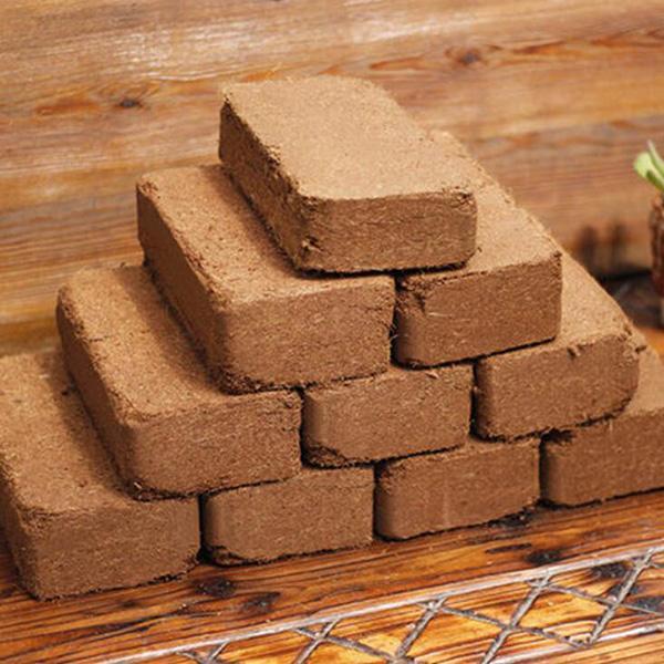 Coconut Bran Brick Succulent Soil