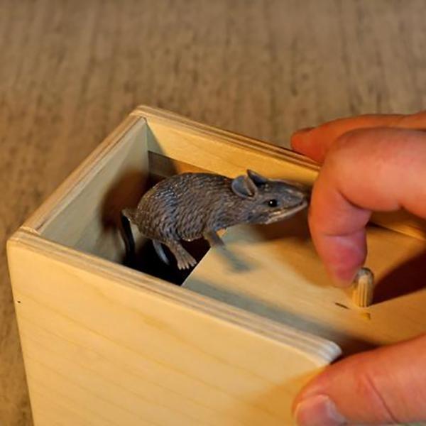 Startled Wooden Box