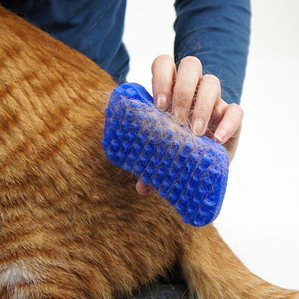 Massage pet brush