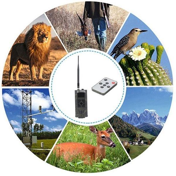 Professional Trail Cam 3.0 (1080P HD + 3G WIRELESS SIGNAL)