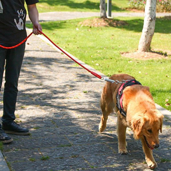 Pet dog chest back