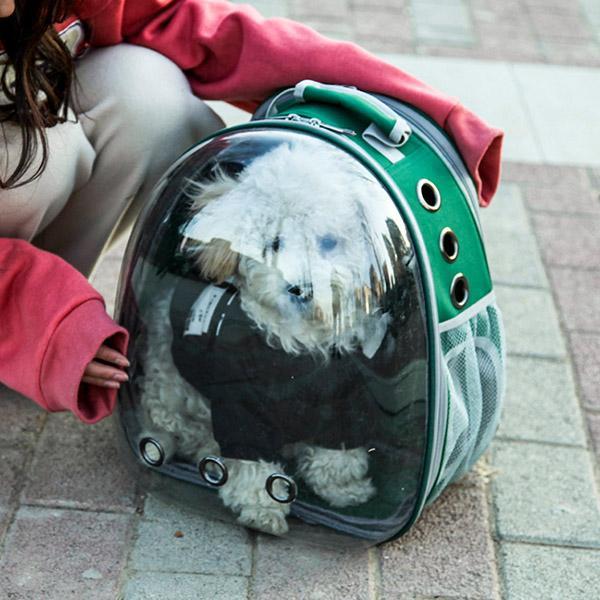 Space Aat Pet Bag