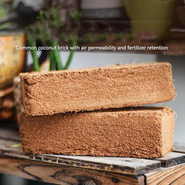 Coconut Bran Brick Succulent Soil