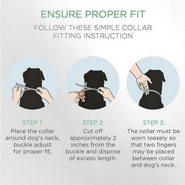 Flea And Tick Collar For Pets