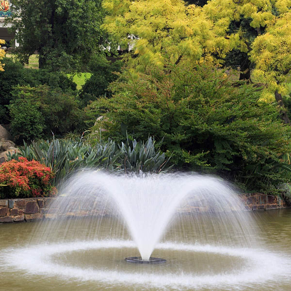 Solar Powered Bird Fountain