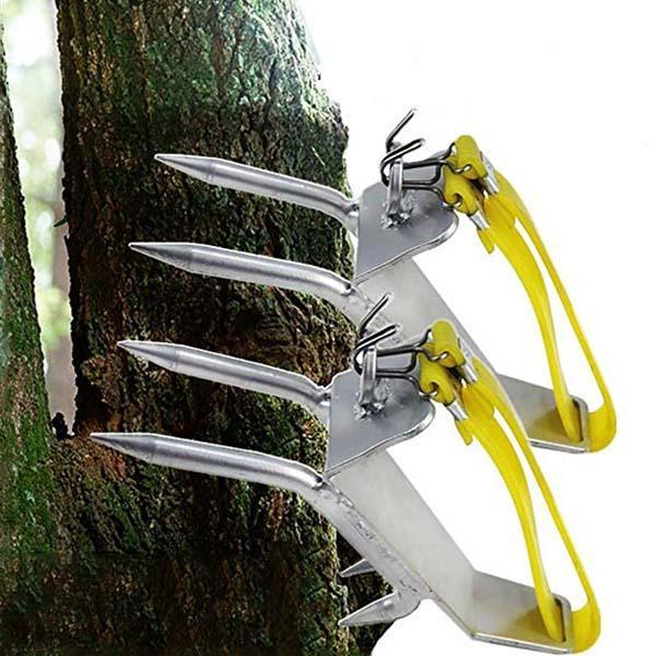 Ultimate Weapon In Tree Climbing