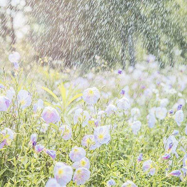 Versatile Watering Sprinkler