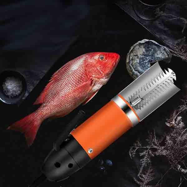 Electric Fish Skin Scaler