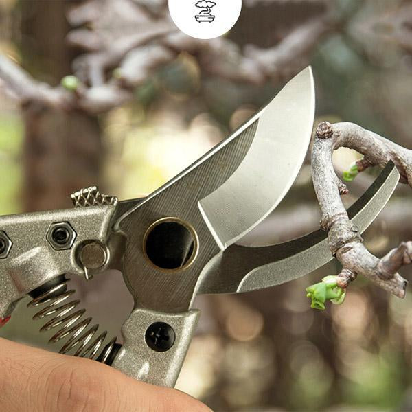 Fruit Tree Pruning Shears