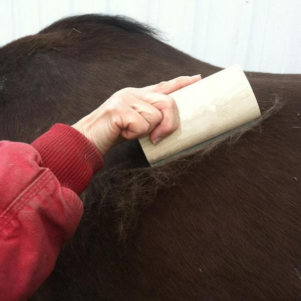 Pet Hair Removal Brush